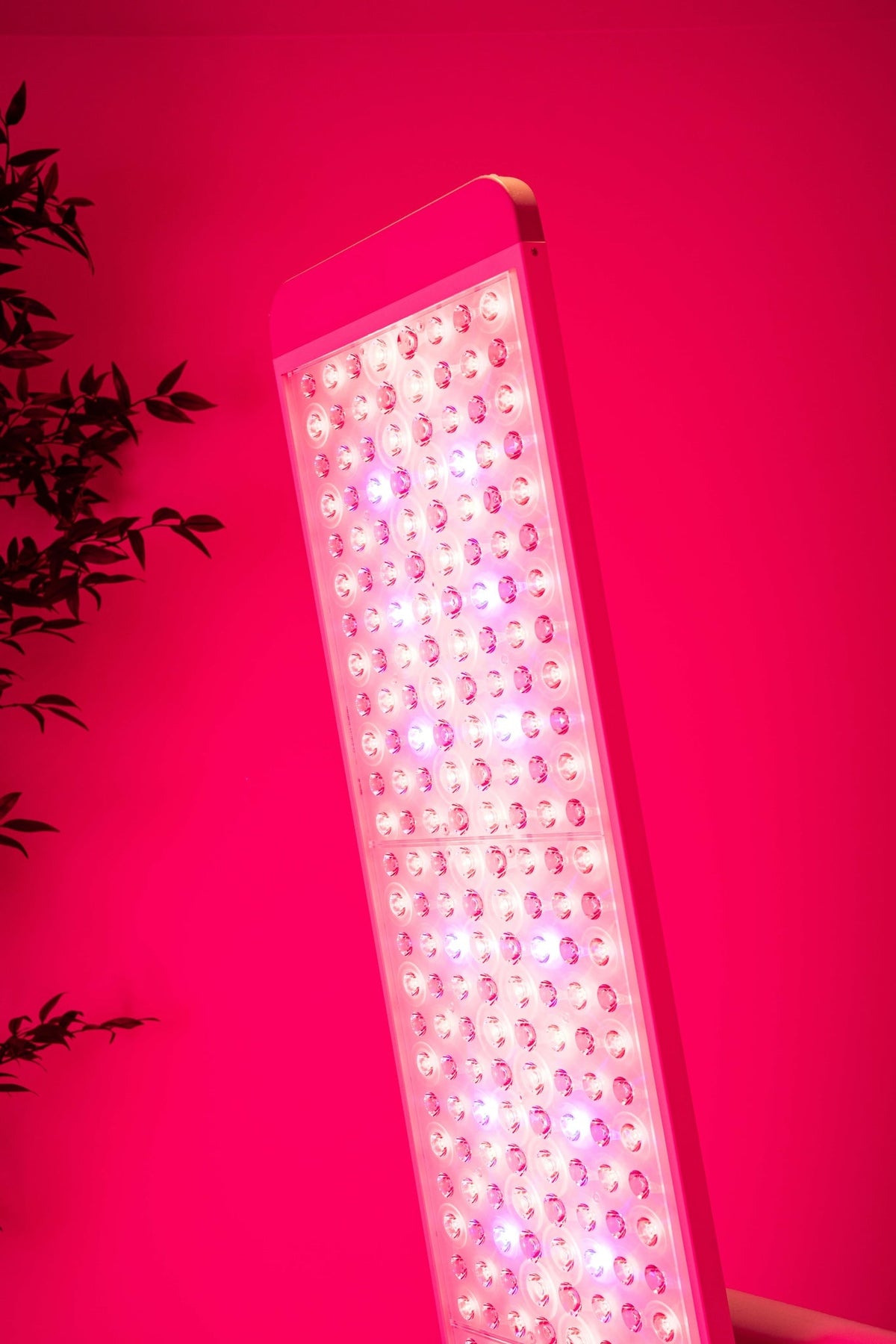 LED  light against a pink background